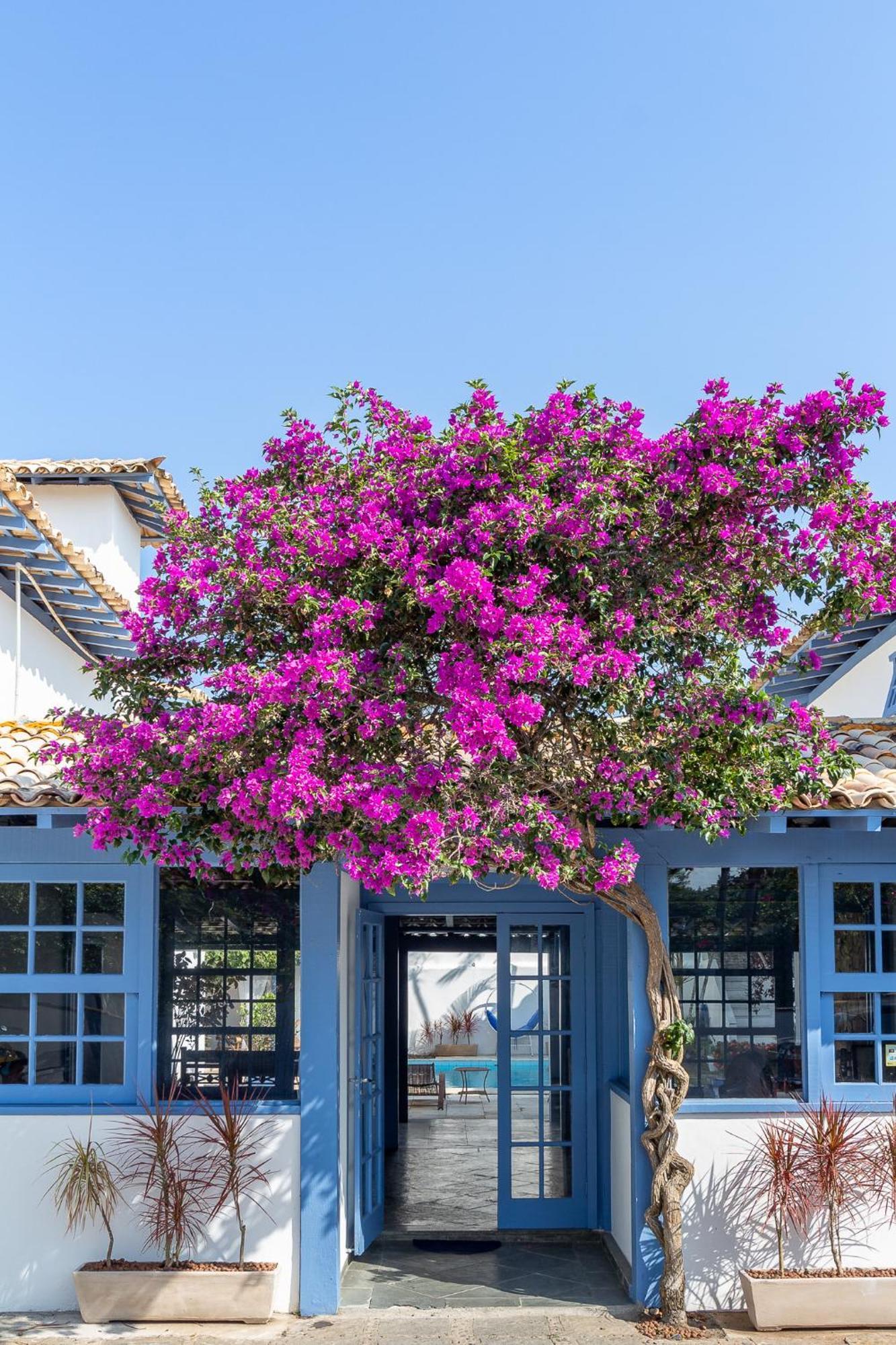 Pousada Vila Capri Búzios Екстериор снимка